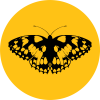 Regenerative storytelling Regenerative storytelling